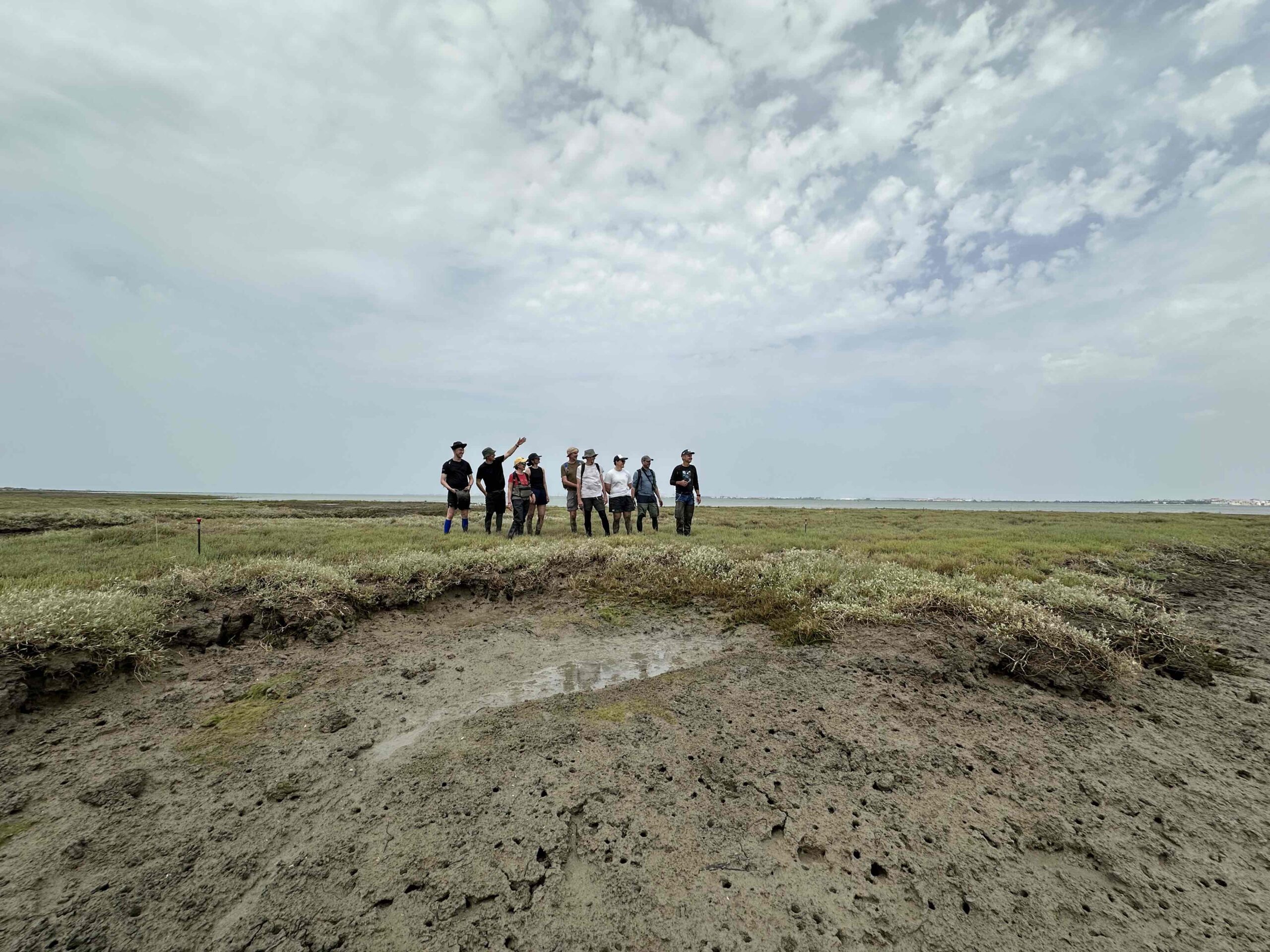 El proyecto REWRITE impulsa la renaturalización de zonas costeras para hacer frente al cambio climático